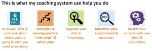 Coaching System web