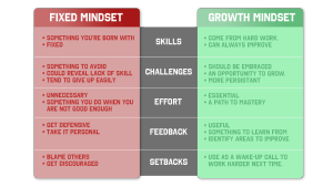 mindset-fixed or growth